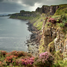 Looking along the coast