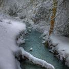 Snowy Stream