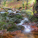 Highland Stream