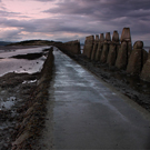 Crammond causeway in late August 2010