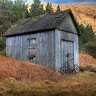 Shec and old bike